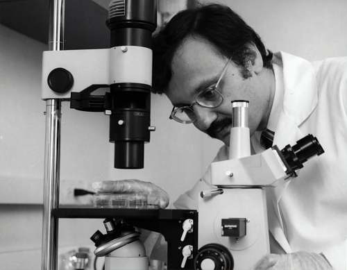 microscope  researching